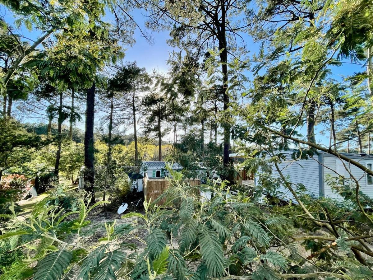 Tiny House Famille Nature Cap Ferret Claouey Exteriér fotografie