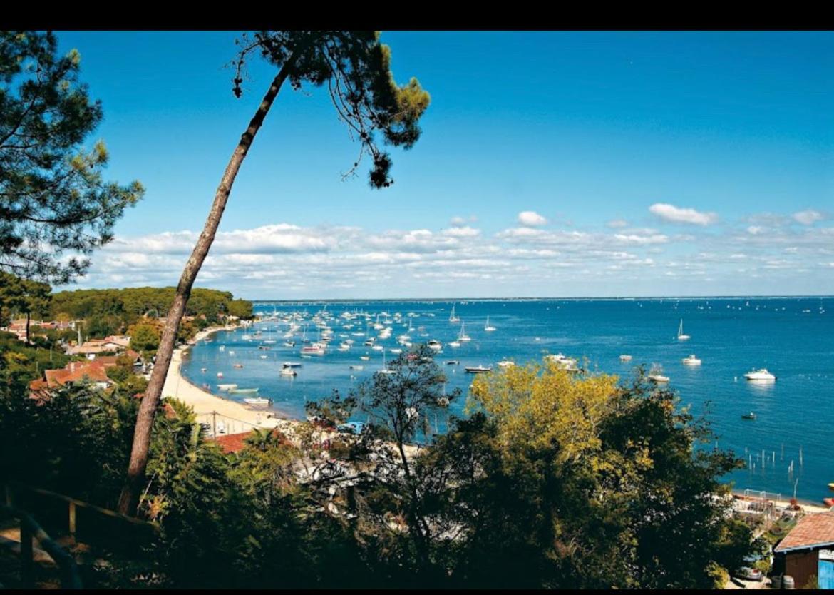 Tiny House Famille Nature Cap Ferret Claouey Exteriér fotografie