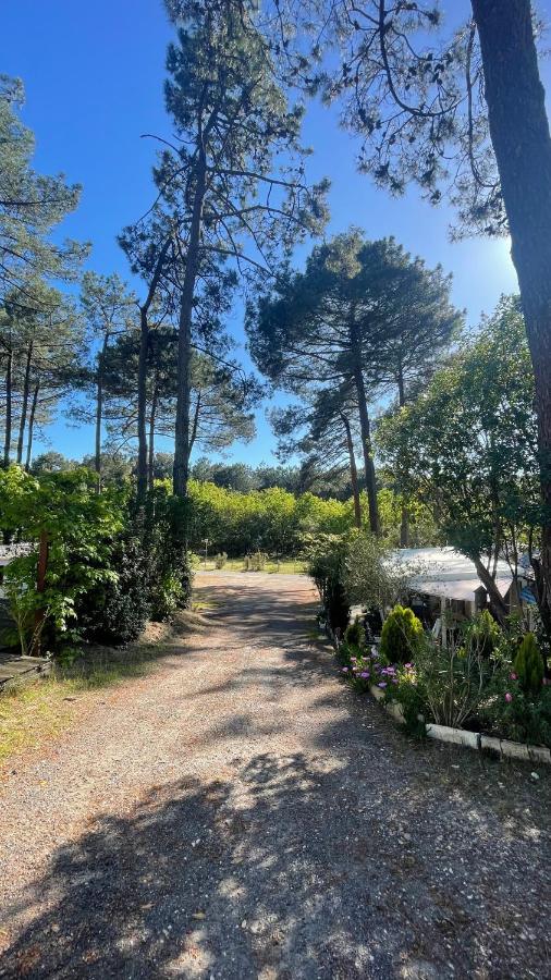 Tiny House Famille Nature Cap Ferret Claouey Exteriér fotografie
